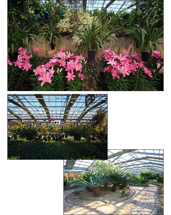 아산 세계꽃식물원