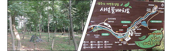 성주산자연휴양림2