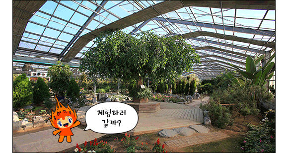 아산 세계꽃식물원4