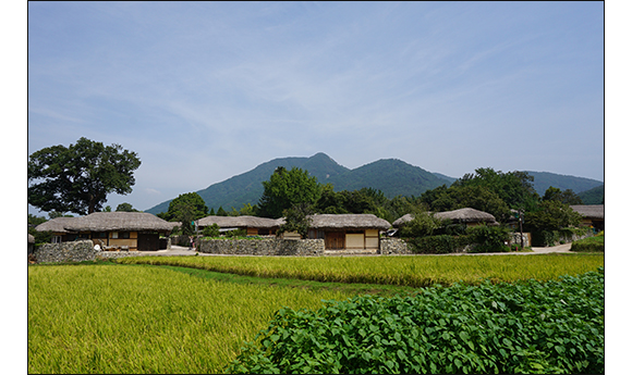 넓은 논밭 뒤로 옹기종이 모여있는 집들