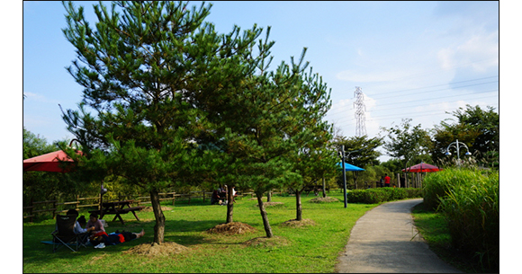 탑정호수변생태공원의 넓은 잔디 광장과 테이블