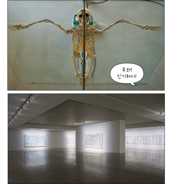 데미언 허스트 (Damien Hirst)의 설치 미술 작품