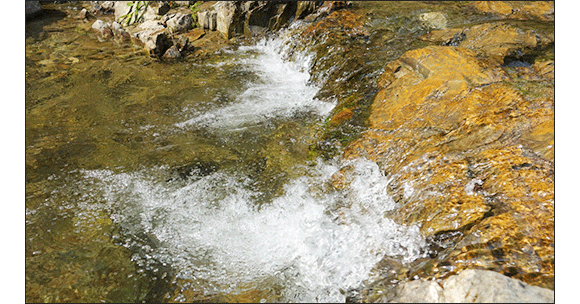 움직이는사진:흐르는 물줄기
