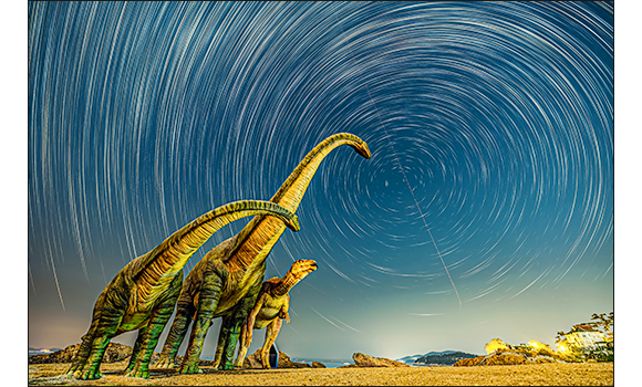 보령 학성리 공룡발자국 화석