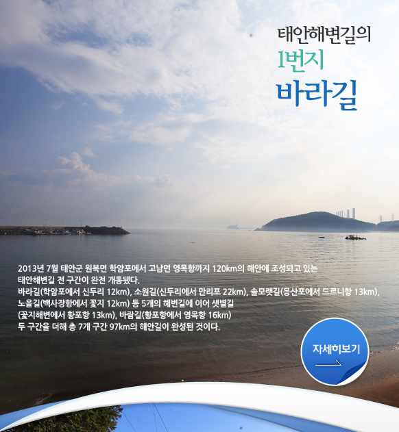 태안해변길의 1번지 바라길 / 2013년 7월 태안군 원북면 학암포에서 고남면 영목항까지 120km의 해안에 조성되고 있는 태안해변길 전 구간이 완전 개통됐다. 바라길(학암포에서 신두리 12km), 소원길(신두리에서 만리포 22km), 솔모랫길(몽산포에서 드르니항 13km), 노을길(백사장항에서 꽃지 12km) 등 5개의 해변길에 이어 샛별길(꽃지해변에서 황포항 13km), 바람길(황포항에서 영목항 16km) 두 구간을 더해 총 7개 구간 97km의 해안길이 완성된 것이다.